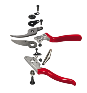 Pruning